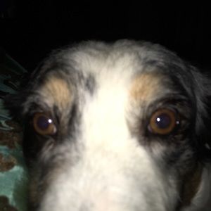 Meet your Posher, Teri